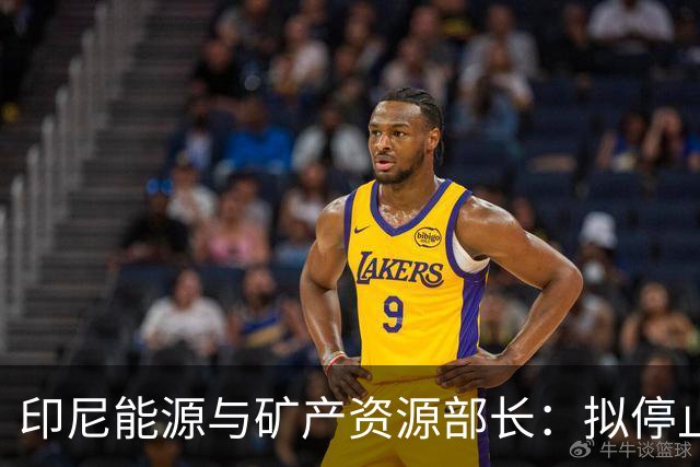 印尼能源与矿产资源部长：拟停止向不尊重印尼的国家供能