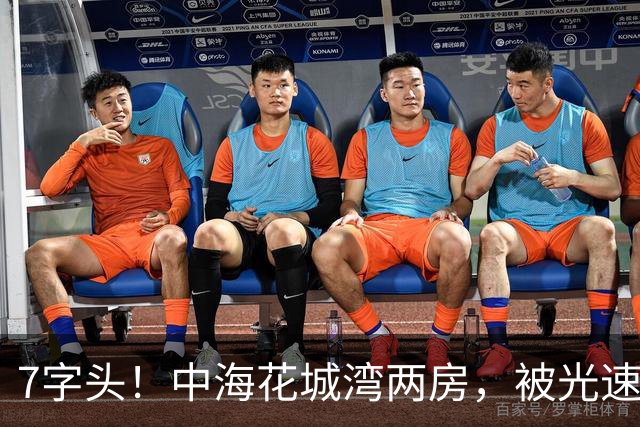 7字头！中海花城湾两房，被光速捡漏